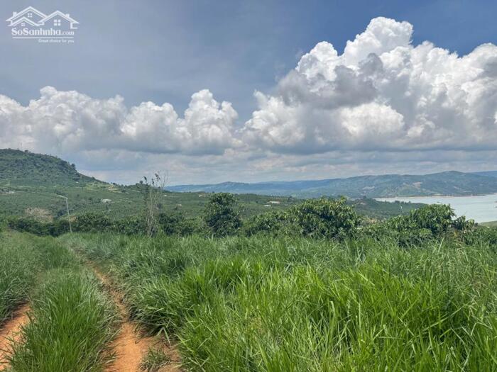 Hình ảnh ĐẤT VIEW SÔNG QUY HOẠCH FULL THỔ CƯ GIÁ TỐT 2