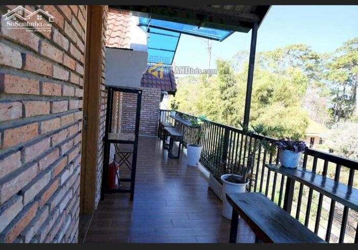 Hình ảnh Homestay Đà Lạt, đậm chất núi rừng Tây Nguyên, hoang dã và độc đáo 2