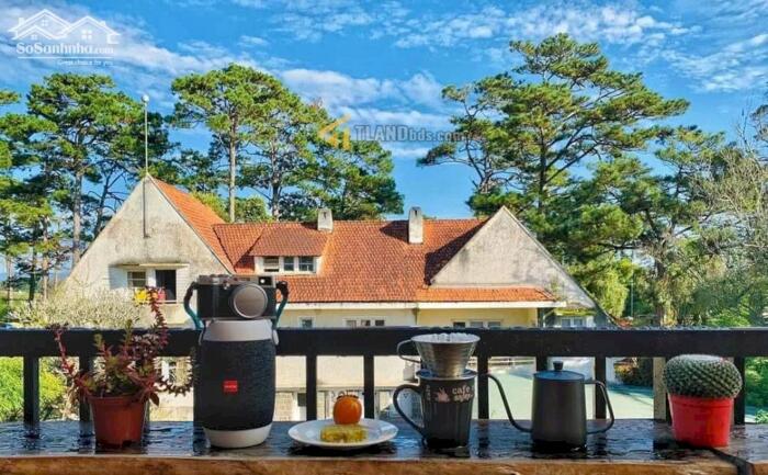 Hình ảnh Homestay Đà Lạt, đậm chất núi rừng Tây Nguyên, hoang dã và độc đáo 6