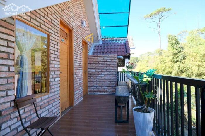 Hình ảnh Homestay Đà Lạt, đậm chất núi rừng Tây Nguyên, hoang dã và độc đáo 0