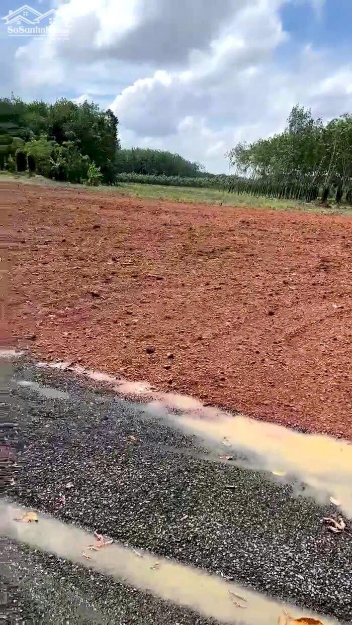 Hình ảnh CHÍNH CHỦ CẦN BÁN GẤP 1