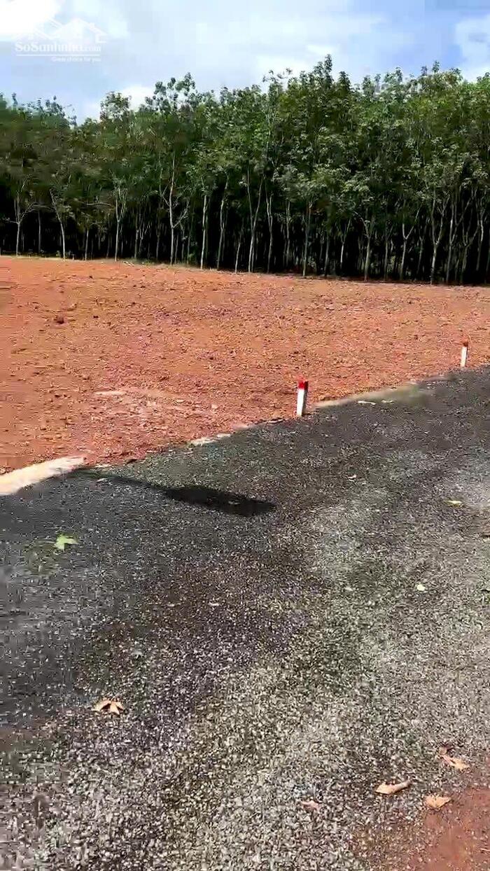 Hình ảnh CHÍNH CHỦ CẦN BÁN GẤP 2