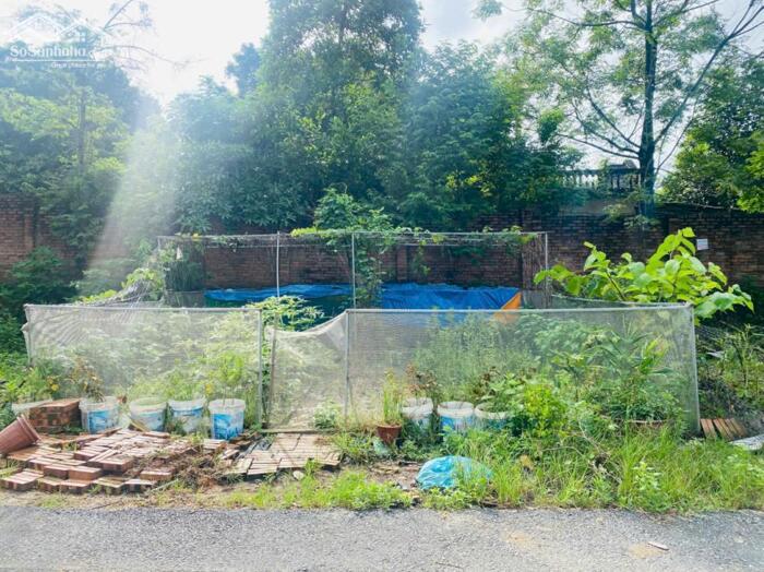 Hình ảnh Bán đất full thổ cư Gò Dung, Liên Bảo, Vĩnh Yên, Vĩnh Phúc 0