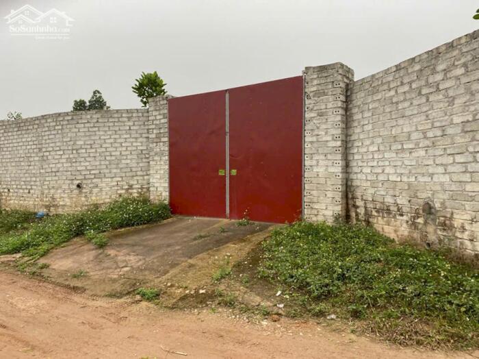 Hình ảnh Bán đất đẹp Phú cường, Hướng đạo, Tam dương. Cạnh 3 Khu công nghiệp. 4