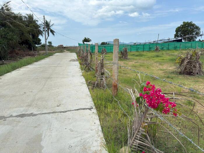 Hình ảnh BÁN LÔ ĐẤT VIEW BIỂN – VỊ TRÍ ĐẸP TẠI XÃ VẠN LONG, KKT VÂN PHONG 4