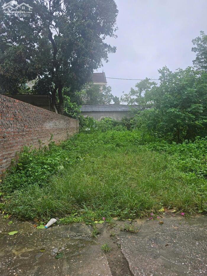 Hình ảnh Bán mảnh đất 97m² Làn 2 QL21, cách ngã 4 Xuân Mai, Hà nội 300m. Đường Ô Tô bán tải đậu tại đất 1