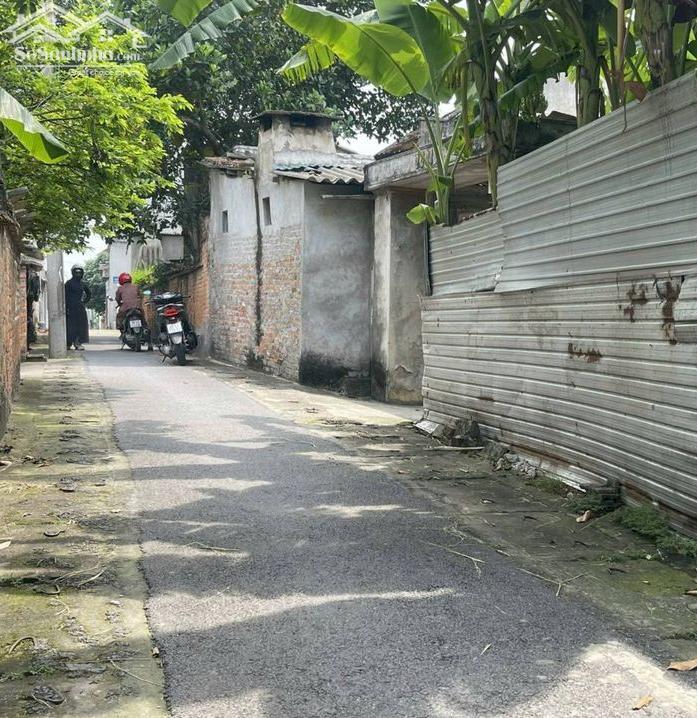 Hình ảnh Bán đất tặng Nhà-2 mặt tiền Âu cơ-Tuyên Quang-Lâm Đồng-115m2+250m2+270m2 1