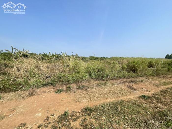 Hình ảnh Bán Hạ Giá 1164m2,Tại Hưng Thịnh,Sổ Riêng,Tiếp Giáp Đường Bê Tông 3