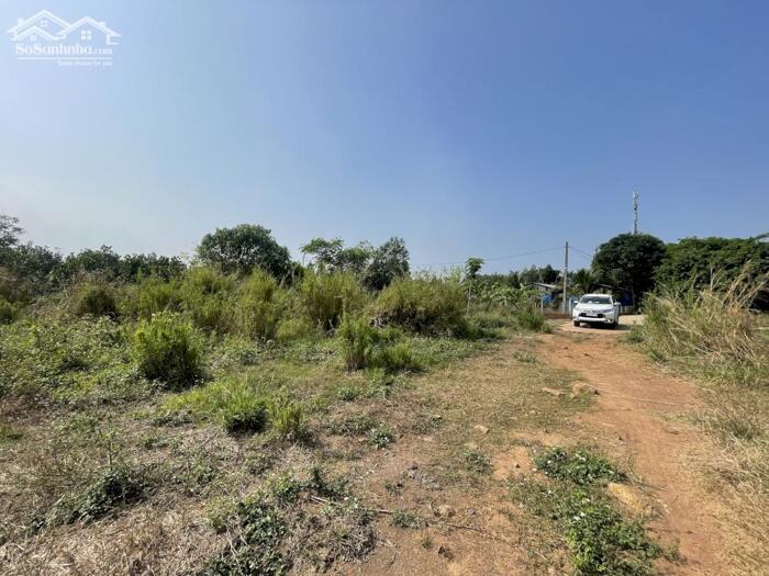 Hình ảnh Bán Hạ Giá 1164m2,Tại Hưng Thịnh,Sổ Riêng,Tiếp Giáp Đường Bê Tông 2