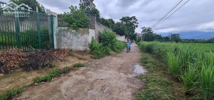 Hình ảnh Bán 800m2 đất thôn Phú Cường, xã Hướng Đạo, Tam Dương, Vĩnh Phúc 3