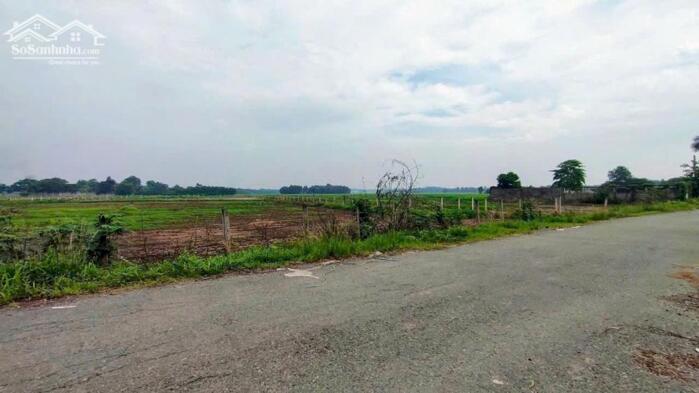 Hình ảnh 7900m2 đất cây lâu năm 1/Trương Thị Như-Xuân Thới Sơn-Hóc Môn.29ty 1