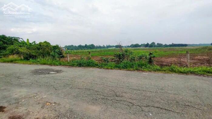 Hình ảnh 7900m2 đất cây lâu năm 1/Trương Thị Như-Xuân Thới Sơn-Hóc Môn.29ty 0