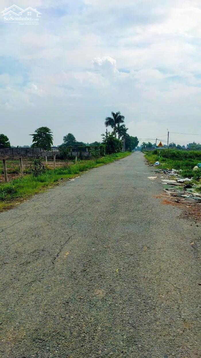 Hình ảnh 7900m2 đất cây lâu năm 1/Trương Thị Như-Xuân Thới Sơn-Hóc Môn.29ty 2