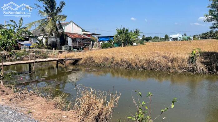 Hình ảnh 4254,4m2 đất cây b.á.n 1,6 tỷ hết đất, ôtô, gần Chợ Tân Thành, Gò Công Đông, Tiền Giang (nay là xã Gò Công Đông, tỉnh Đồng Tháp) 4