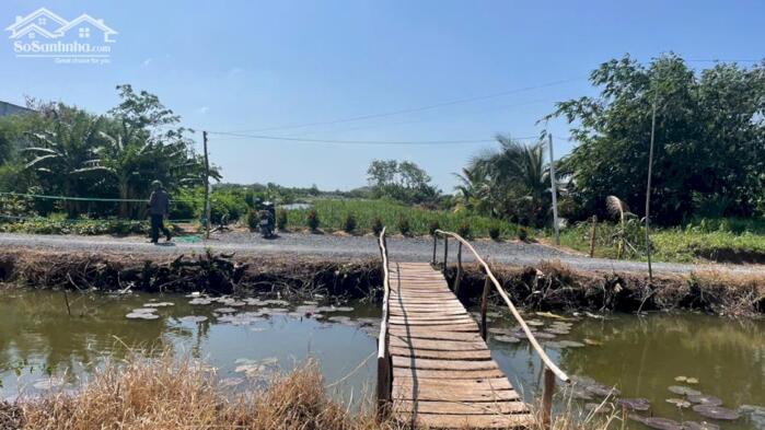 Hình ảnh 4254,4m2 đất cây b.á.n 1,6 tỷ hết đất, ôtô, gần Chợ Tân Thành, Gò Công Đông, Tiền Giang (nay là xã Gò Công Đông, tỉnh Đồng Tháp) 5