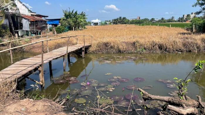 Hình ảnh 4254,4m2 đất cây b.á.n 1,6 tỷ hết đất, ôtô, gần Chợ Tân Thành, Gò Công Đông, Tiền Giang (nay là xã Gò Công Đông, tỉnh Đồng Tháp) 2