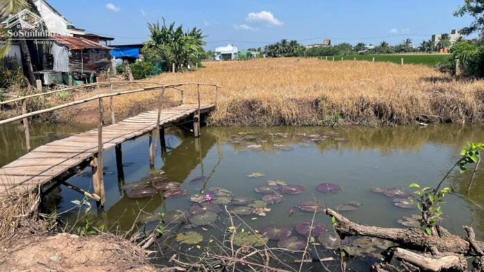 Hình ảnh 1,6 tỷ hết 4254,4m2 đất cây,ôtô, gần Chợ Tân Thành, Gò Công Đông, Tiền Giang (nay là xã Gò Công Đông, tỉnh Đồng Tháp) 2