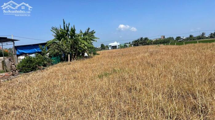 Hình ảnh 1,6 tỷ hết 4254,4m2 đất cây,ôtô, gần Chợ Tân Thành, Gò Công Đông, Tiền Giang (nay là xã Gò Công Đông, tỉnh Đồng Tháp) 3