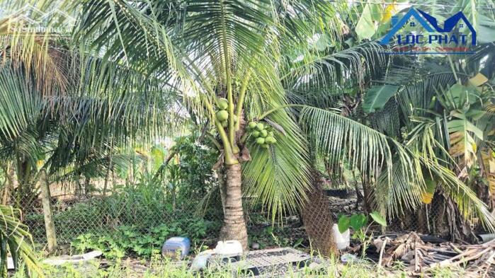 Hình ảnh Bán đất 1,4ha tại Trảng Bom Đồng Nai chỉ 13 tỷ 3