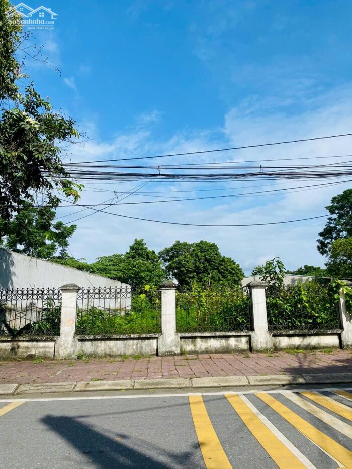 Hình ảnh Bán 793m2 đất mặt đường Điện Biên Phủ, phường Tích Sơn, Vĩnh yên 3