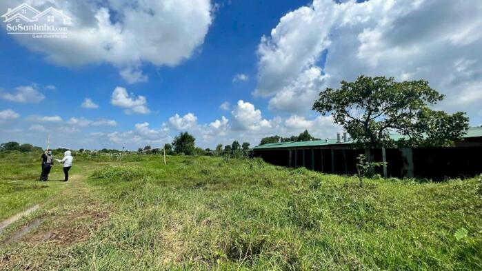 Hình ảnh Cho thuê đất 23.000m2 nhánh Đặng Thúv Vịnh Hóc Môn 1