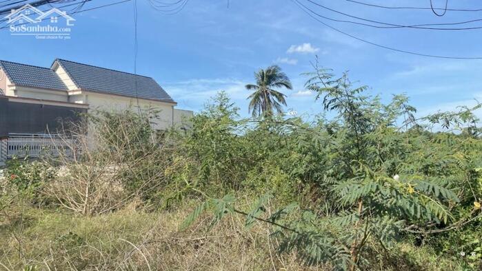 Hình ảnh 10x50(500m2) 100m2 Thổ Cư Vị Trí Trung Tâm Nguyễn Chí Thanh Giá Ngộp 3