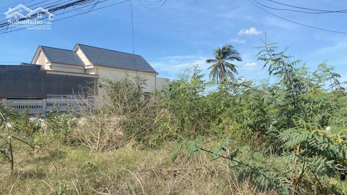 Hình ảnh 10x50(500m2) 100m2 Thổ Cư Vị Trí Trung Tâm Nguyễn Chí Thanh Giá Ngộp 2