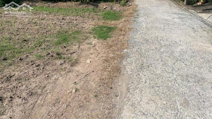 Hình ảnh 1000m2 đất nền, bêtông ôtô gần Chợ Tân Điền, Gò Công Đông, TG (nay thuộc xã Tân Điền, tỉnh Đồng Tháp) 1