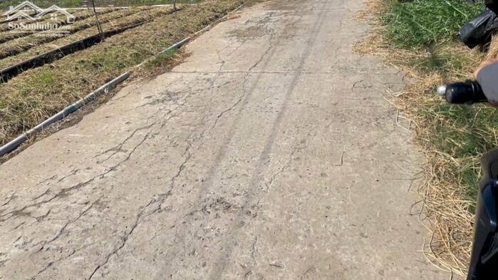 Hình ảnh 1000m2 đất nền, bêtông ôtô gần Chợ Tân Điền, Gò Công Đông, TG (nay thuộc xã Tân Điền, tỉnh Đồng Tháp) 3