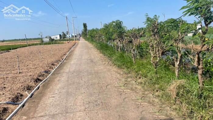 Hình ảnh 1000m2 đất nền, bêtông ôtô gần Chợ Tân Điền, Gò Công Đông, TG (nay thuộc xã Tân Điền, tỉnh Đồng Tháp) 0