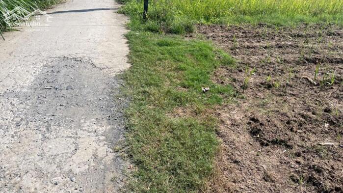 Hình ảnh 1000m2 đất nền, bêtông ôtô gần Chợ Tân Điền, Gò Công Đông, TG (nay thuộc xã Tân Điền, tỉnh Đồng Tháp) 4