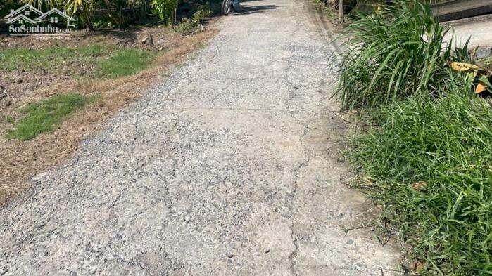 Hình ảnh 1000m2 đất nền, bêtông ôtô gần Chợ Tân Điền, Gò Công Đông, TG (nay thuộc xã Tân Điền, tỉnh Đồng Tháp) 2