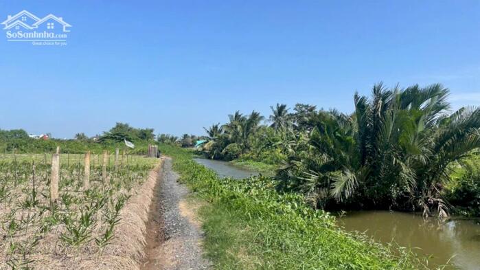 Hình ảnh 380tr B.á.n mãnh đất vườn vuông, đẹp 750m2 tại Tân Thành, Gò Công Đông, Tiền Giang 2