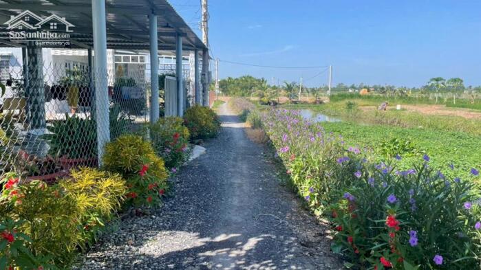 Hình ảnh 380tr B.á.n mãnh đất vườn vuông, đẹp 750m2 tại Tân Thành, Gò Công Đông, Tiền Giang 0