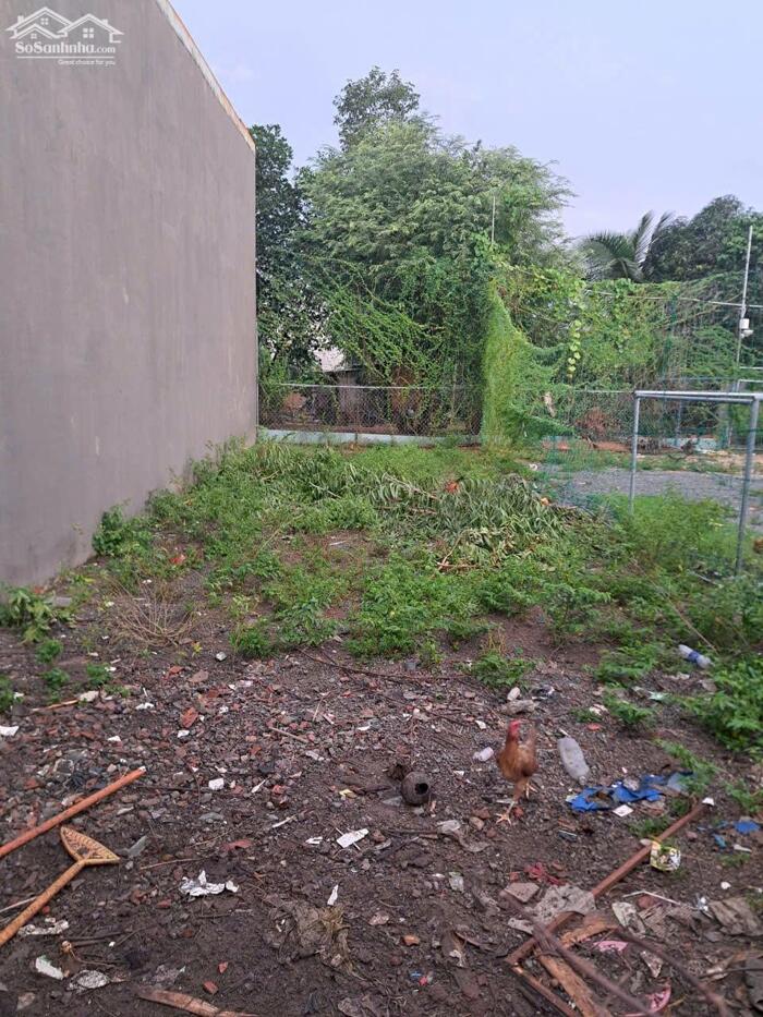 Hình ảnh BÁN ĐẤT HẺM ÔTÔ 5M – ĐƯỜNG LIÊN HUYỆN, P.TÂN BÌNH, DĨ AN 3