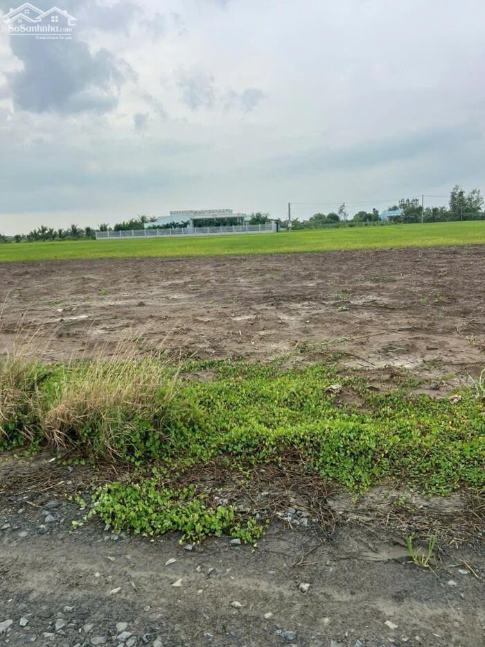 Hình ảnh Đất thổ mt xe hơi 123m2 xã Tân Lân giá rẻ 550tr/nền 2