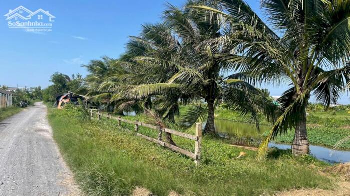 Hình ảnh 1,6 tỷ đất có vườn cây trái sẵn, mặt tiền kênh 3 gần biển Rạch Bùn, xãTân Điền, Đồng Tháp 5