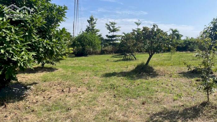 Hình ảnh 1,6 tỷ đất có vườn cây trái sẵn, mặt tiền kênh 3 gần biển Rạch Bùn, xãTân Điền, Đồng Tháp 1