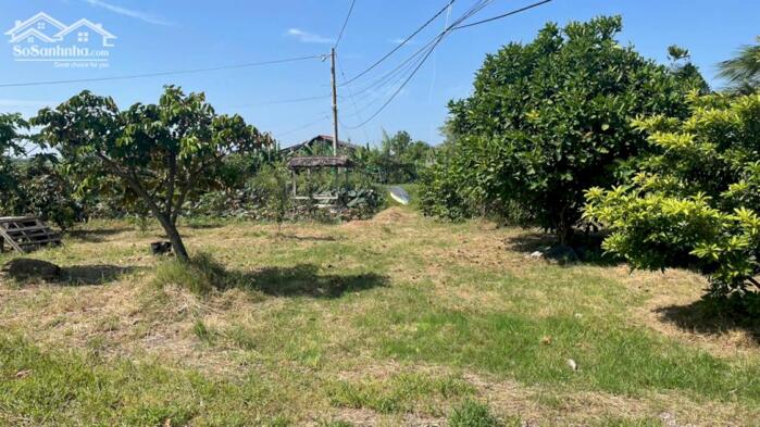 Hình ảnh 1,6 tỷ đất có vườn cây trái sẵn, mặt tiền kênh 3 gần biển Rạch Bùn, xãTân Điền, Đồng Tháp 2