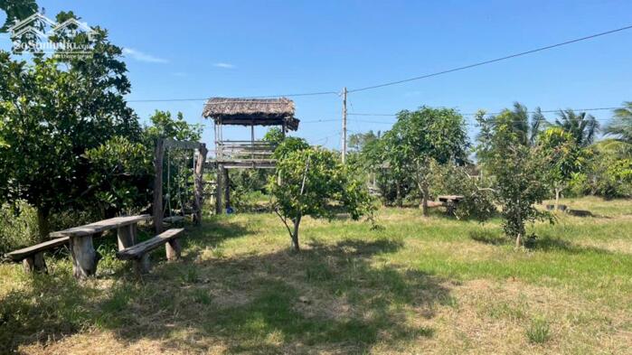 Hình ảnh 1,6 tỷ đất có vườn cây trái sẵn, mặt tiền kênh 3 gần biển Rạch Bùn, xãTân Điền, Đồng Tháp 0