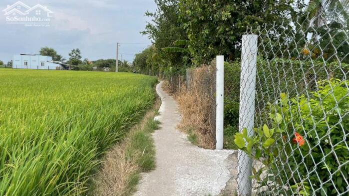 Hình ảnh 180tr B.á.n nhanh đất full thổ cư tại xã Gò Công Đông, Tiền Giang nay là tỉnh Đồng Tháp 3