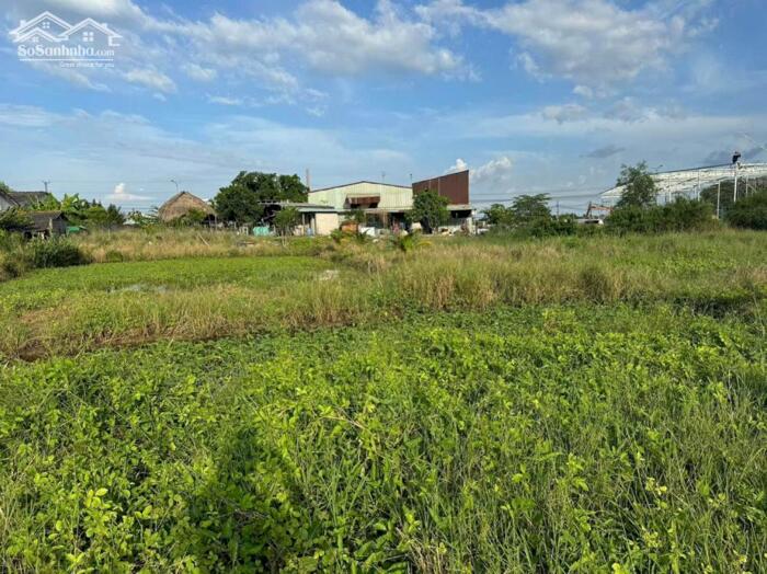 Hình ảnh Đất lớn Mt đường tỉnh 827 P7 TP Tân An Long An 2