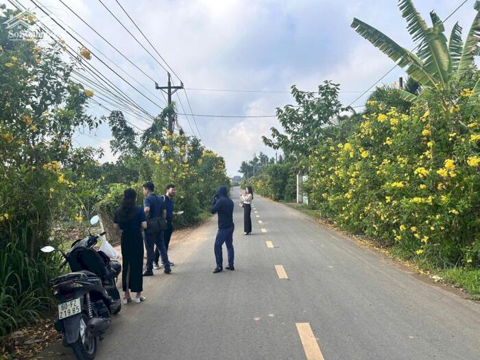 Hình ảnh Bán đất mặt tiền đường Long Chiến, 1,5 tỷ, 125m2, pháp lý đầy đủ, sổ hổng riêng 2