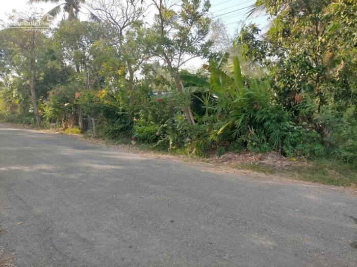 Hình ảnh Đất rộng đường lớn P Khánh Hậu TP Tân An 2