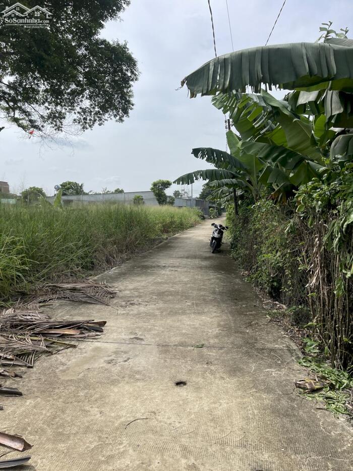 Hình ảnh Cần Bán 1000m2 ( 25x40 ) Đất CLN , Sổ Riêng, Đường Bê Tông Đẹp, Tại Sông Trầu 3