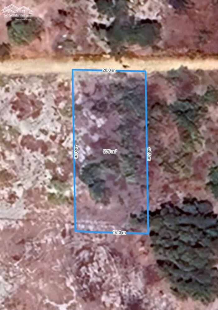 Hình ảnh bán gấp 20x44 hẻm trần quang diệu,phước hội, lâm đồng. gần biển, giá rẻ 3