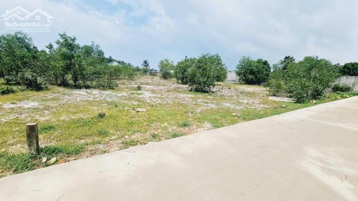 Hình ảnh bán gấp 20x44 hẻm trần quang diệu,phước hội, lâm đồng. gần biển, giá rẻ 2