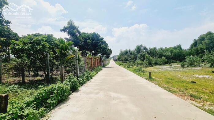 Hình ảnh bán gấp 20x44 hẻm trần quang diệu,phước hội, lâm đồng. gần biển, giá rẻ 1