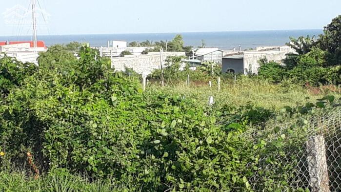 Hình ảnh Đất Ngộp nội bộ Nguyễn Thông-Phú Thuỷ(Phan Thiết cũ)-Lâm Đồng-DT 300m2 thổ cư,mt 19m 0