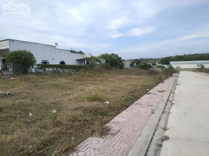 Hình ảnh Đất Ngộp nội bộ Nguyễn Thông-Phú Thuỷ(Phan Thiết cũ)-Lâm Đồng-DT 300m2 thổ cư,mt 19m 1